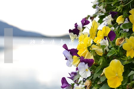 漳平债务诉讼律师 漳平债务诉讼律师