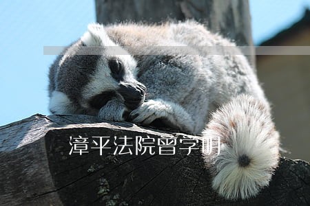 漳平法院曾学明