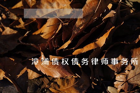漳浦债权债务律师事务所电话
