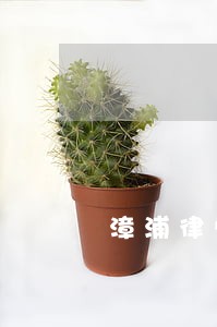 漳浦律师免费法律咨询 漳浦律师免费法律咨询
