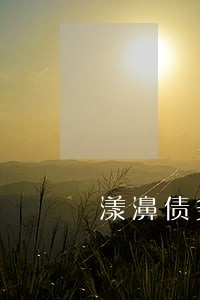 漾濞债务纠纷律师排行 漾濞债务纠纷律师排行