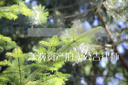 漾濞资产拍卖公告律师