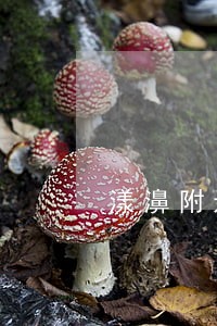 漾濞附近合同纠纷律师 漾濞附近合同纠纷律师