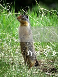 潍坊专业医疗事故赔偿律师 潍坊专业医疗事故赔偿律师