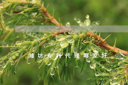 潍坊专利代理哪家好 潍坊专利代理哪家好