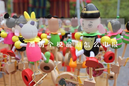 潍坊个税逾期怎么申报 潍坊个税逾期怎么申报