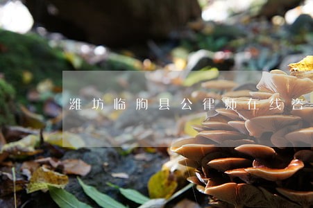 潍坊临朐县公律师在线咨询 潍坊临朐县公律师在线咨询