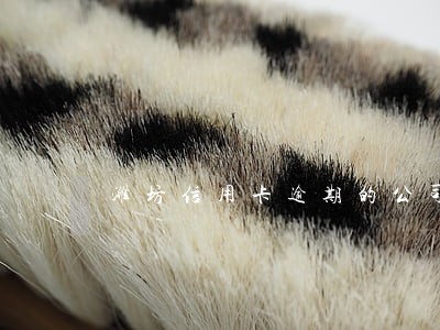 潍坊信用卡逾期的公司