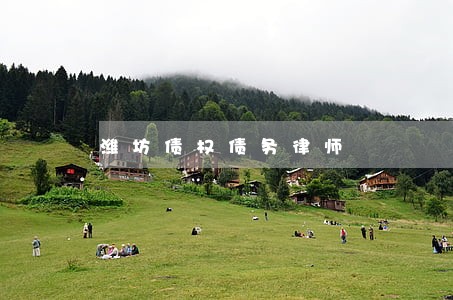 潍坊债权债务律师 潍坊债权债务律师