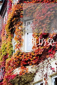 潍坊免费法律援助 潍坊免费法律援助