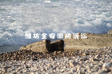 潍坊全安消防诉讼