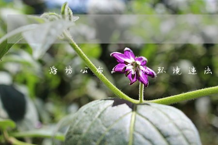 潍坊公布2月份环境违法行政处罚 潍坊公布2月份环境违法行政处罚
