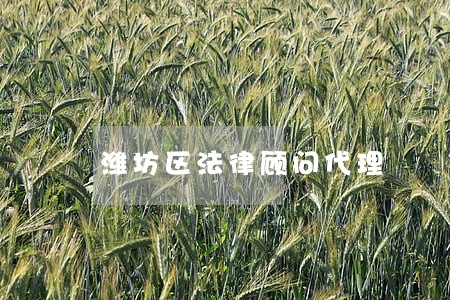 潍坊区法律顾问代理 潍坊区法律顾问代理