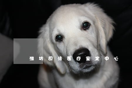 潍坊司法医疗鉴定中心 潍坊司法医疗鉴定中心