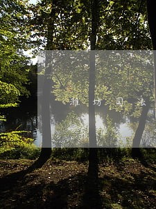 潍坊司法考试网