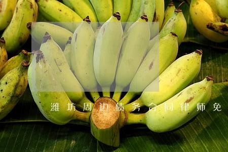 潍坊周边债务合同律师免费咨询 潍坊周边债务合同律师免费咨询