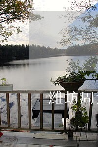 潍坊周边债务合同律师咨询电话 潍坊周边债务合同律师咨询电话