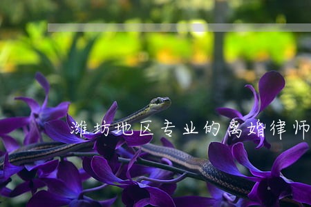 潍坊地区专业的离婚律师 潍坊地区专业的离婚律师