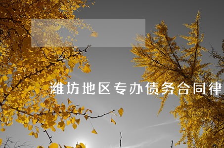 潍坊地区专办债务合同律师 潍坊地区专办债务合同律师