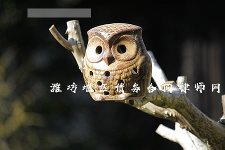 潍坊地区债务合同律师网站 潍坊地区债务合同律师网站