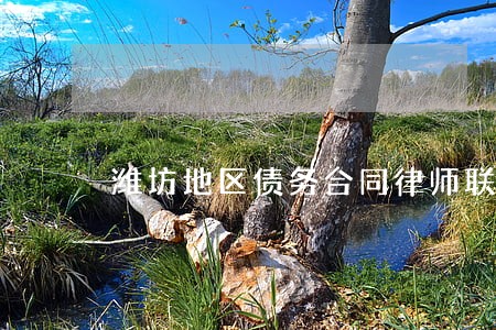 潍坊地区债务合同律师联系方式 潍坊地区债务合同律师联系方式