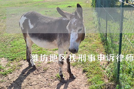 潍坊地区找刑事申诉律师 潍坊地区找刑事申诉律师