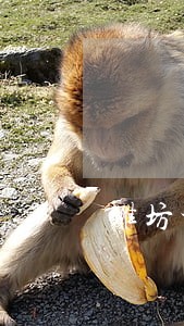 潍坊地区挪用公款案律师电话
