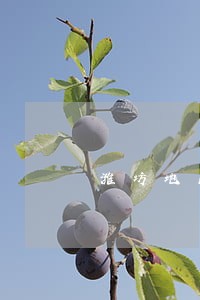 潍坊地区施工合同律师联系电话