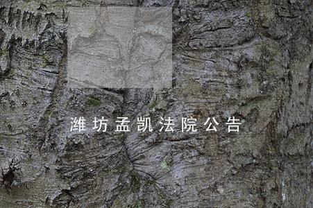 潍坊孟凯法院公告