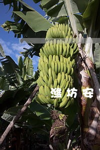 潍坊安丘债务纠纷律师代理