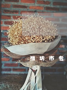 潍坊市专业的劳动律师