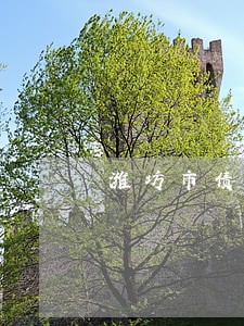 潍坊市债务重组律师 潍坊市债务重组律师