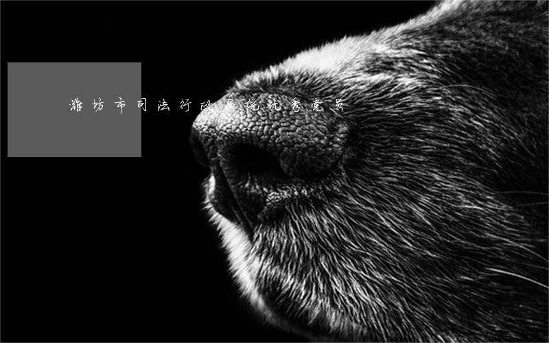 潍坊市司法行政系统优秀党员