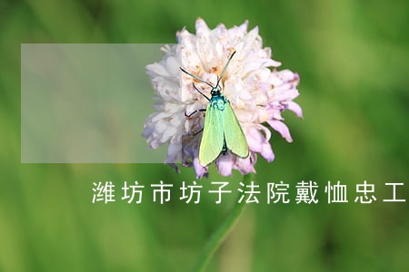 潍坊市坊子法院戴恤忠工程款起诉 潍坊市坊子法院戴恤忠工程款起诉