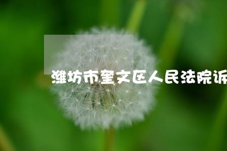 潍坊市奎文区人民法院诉讼资产网 潍坊市奎文区人民法院诉讼资产网