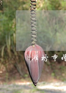 潍坊市婚姻律师多少钱 潍坊市婚姻律师多少钱
