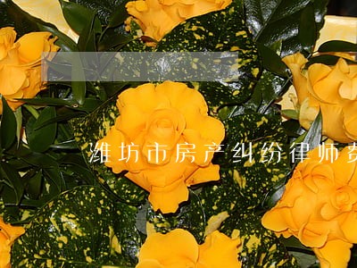 潍坊市房产纠纷律师费用 潍坊市房产纠纷律师费用