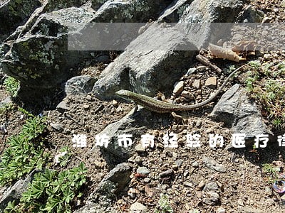 潍坊市有经验的医疗律师 潍坊市有经验的医疗律师