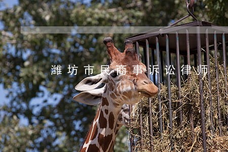 潍坊市民商事诉讼律师