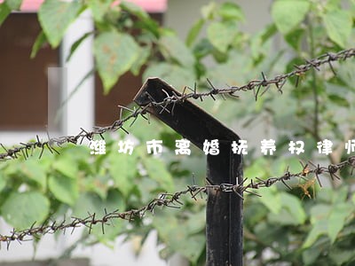 潍坊市离婚抚养权律师电话咨询 潍坊市离婚抚养权律师电话咨询
