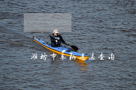 潍坊市车辆违法查询 潍坊市车辆违法查询