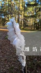 潍坊市阿里司法拍 潍坊市阿里司法拍
