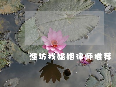 潍坊找婚姻律师推荐