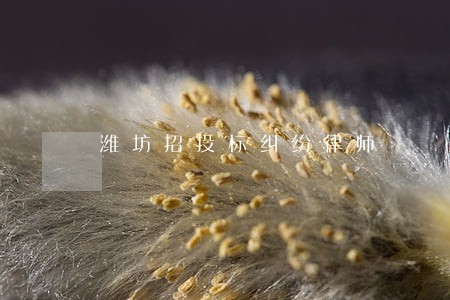潍坊招投标纠纷律师 潍坊招投标纠纷律师