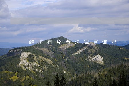 潍坊有免费法律咨询吗 潍坊有免费法律咨询吗