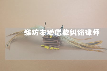 潍坊本地借款纠纷律师 潍坊本地借款纠纷律师