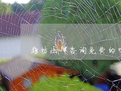潍坊法律咨询免费的吗
