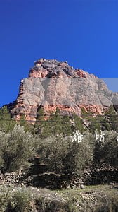 潍坊法律援助专职律师 潍坊法律援助专职律师