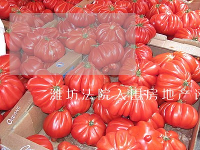 潍坊法院入围房地产评估 潍坊法院入围房地产评估