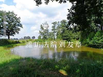 潍坊法院刘发章 潍坊法院刘发章